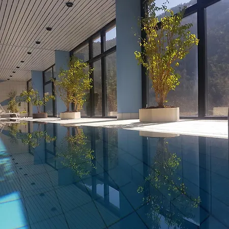 Apartment Jutta Deluxe Bad Reichenhall
